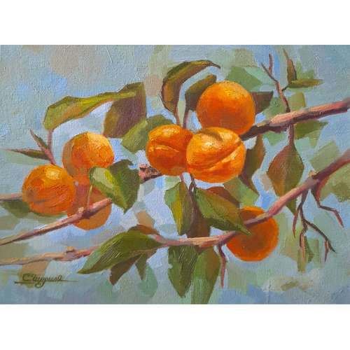 Apricot Branch Painting Fruit Original Fine Art Small Artwork 7x9,5" (18 x 24cm) by Svetlana