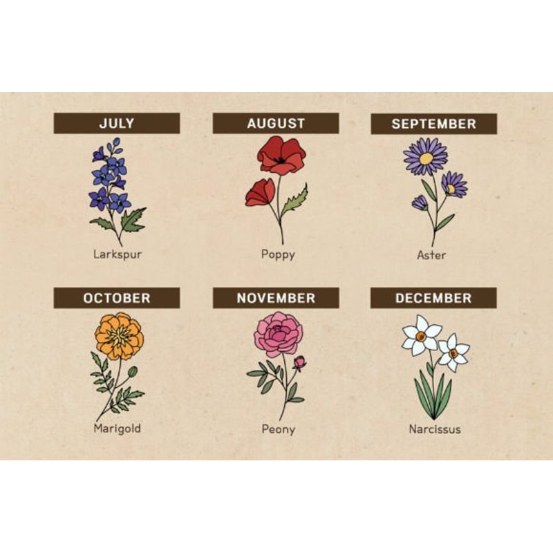 Birth-Month-Flower-Svg-Graphics-69849400-4-580x387.jpg