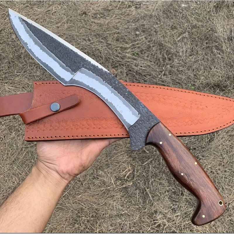 IMG20230419WA0193jpg