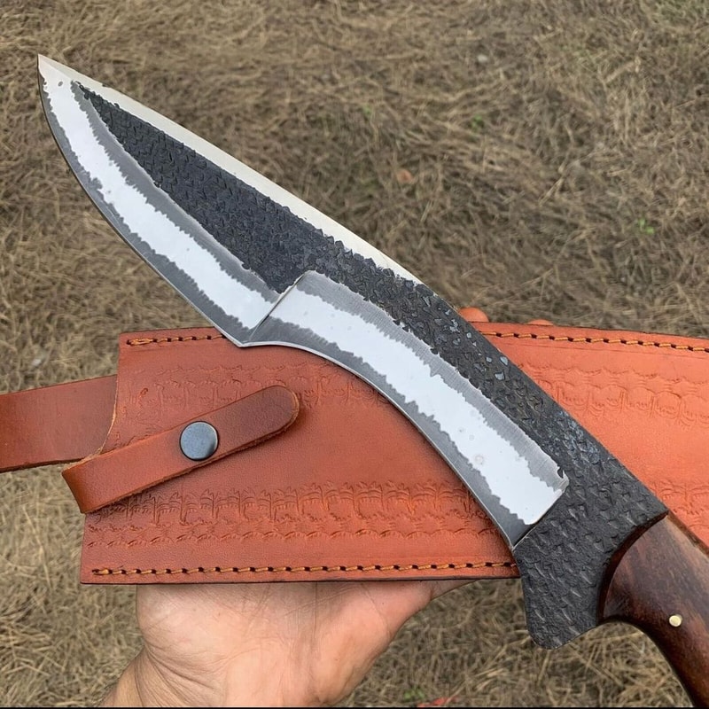 IMG20230419WA0194jpg