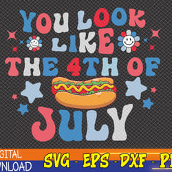 you look like the fourth of july sv, 4th of july svg, funny i-ndependence-day png, 4th july png, svg, eps, png, dxf, dig
