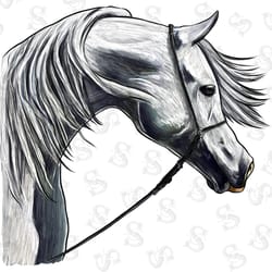 i like murder shows comfy clothes and maybe 3 peop