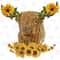 Highland Cow Sunflower Png,Animals Highland Cow Png,Cow Png,Sunflower Png,Highland Cow Sunflower Png,Sublimation Design,Digital Download - 1.jpg