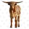 Texas Longhorn Calf Png Sublimation Design,Texas Longhorn Png,Calf Png,Animals Png,Printable Cute Animal Image For Wall Art,Digital Download - 1.jpg