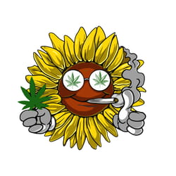 cannabis sunflower svg, trending svg, sunflower svg, cannabis svg clipart, silhouette svg, silhouette svg fies