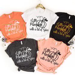 a little pumpkin with a lot of spice, pumpkin tee, pumpkin spice tee, autumn, fall shirt, thankful, thanksgiving, pumpki