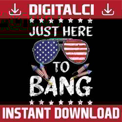 funny 4th of july i'm just here to bang usa flag sunglasses png, american patriotic, the fourth of july png, digital do