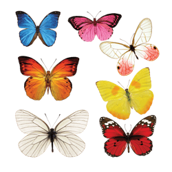 butterfly bundle, cricut file, svg, png, dxf, eps, lightboxgoodman