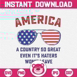 america a country so great even it's haters won't leave usa svg, american flag sungaless svg, independence day png