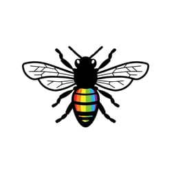 bee proud, lgbt svg,rainbow svg, rainbow lgbt,lgbt womens shirt,pride svg,bee proud svg, pride rainbow, lesbian svg, gay