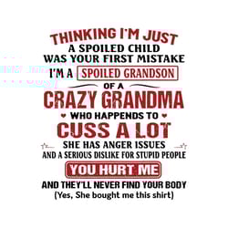 thinking im just a spoiled grandson was your first mistake svg, trending svg, spoiled grandson svg, grandson svg, nephew