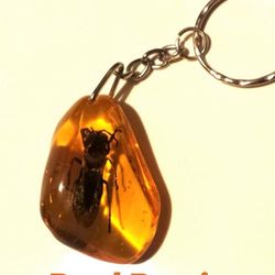 Real insect Bee in Amber Epoxy Resin Keychain Insect taxidermy keyring honeybee Nature Key chain ring Gift to friends