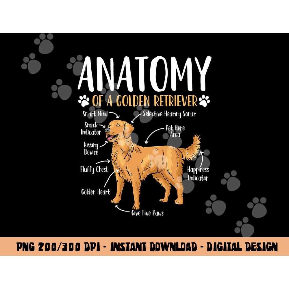 Golden Retriever Dog Anatomy png, sublimation copy.jpg