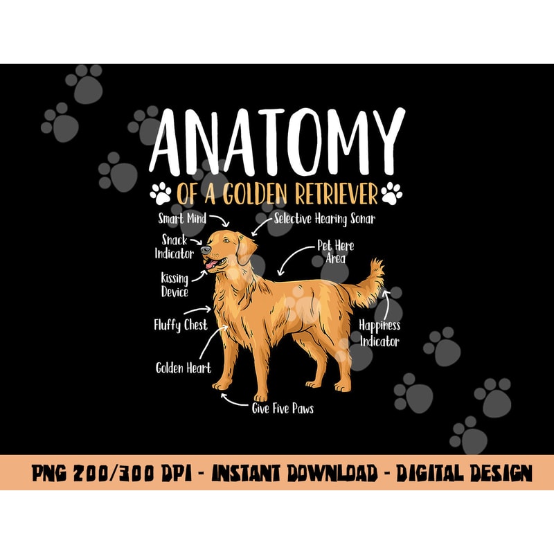 Golden Retriever Dog Anatomy png, sublimation copy.jpg