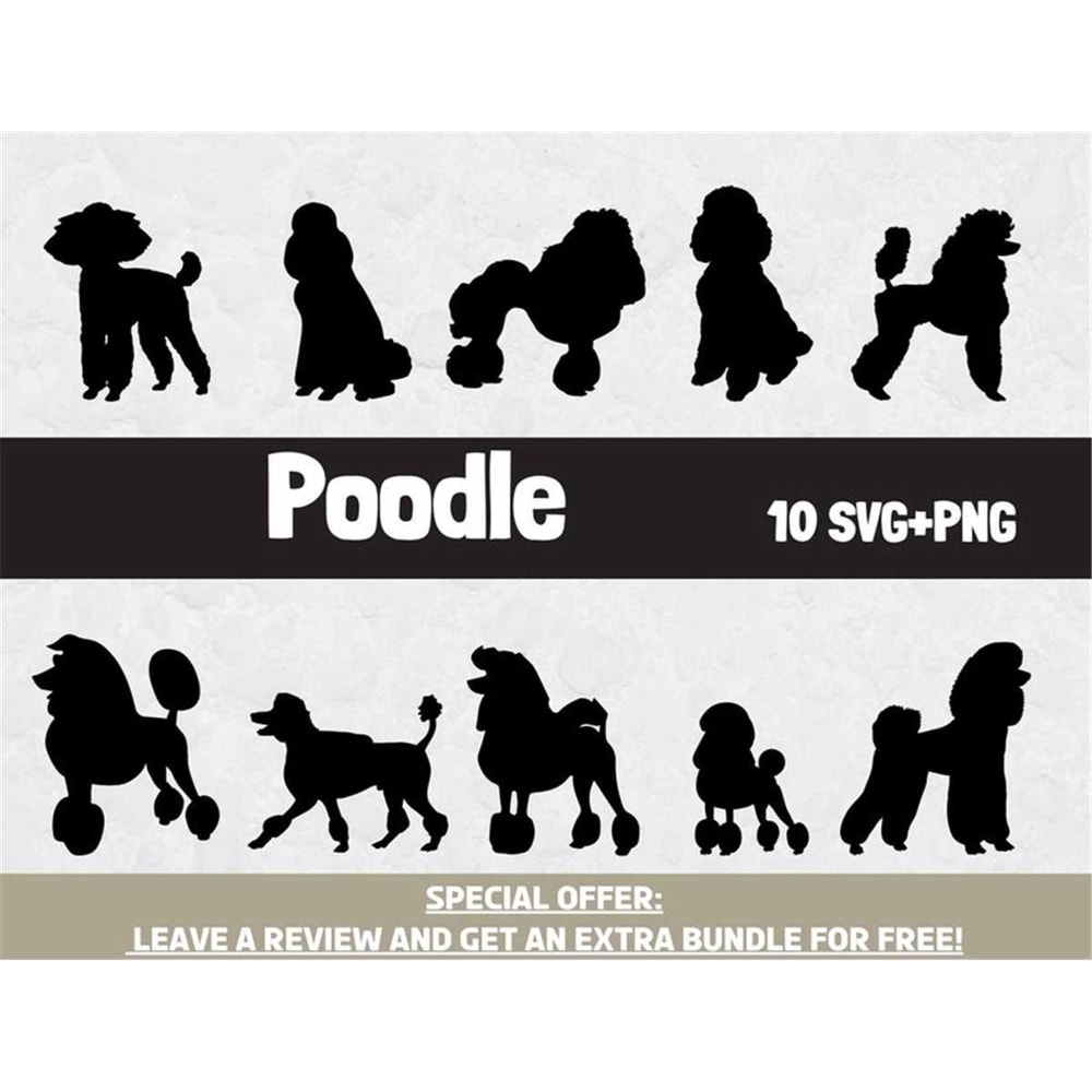 MR-682023191736-poodle-svg-png-clipart.jpg