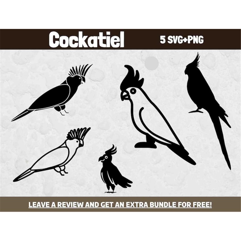 MR-682023195956-cockatiel-svg-bundle-svg-files-for-cricut-bird-lover-image-1.jpg