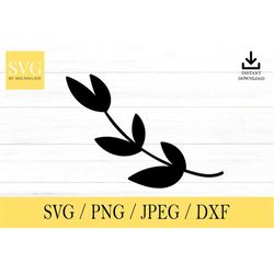 Floral SVG, svg, png, dxf, jpeg, Digital Download, Cut File, Cricut, Silhouette, Glowforge, Svg files for cricut