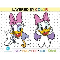 daisy duck svg, daisy duck bundle svg, daisy duck svg file for cricut, dxf file cut, cutting files, daisy duck clipart p