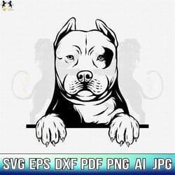 pitbull svg, american pit bull svg, pitbull clipart, pitbull vector, pitbull cricut, dog paw svg, pitbull cut file, dog