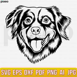 australian shepherd svg, aussie svg, aussie clipart, dog svg, dog lover svg, australian shepherd cricut, aussie cut file