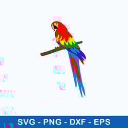 parrot colorful svg, png dxf eps file