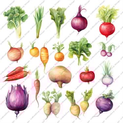 vegetables png, png clipart, gardening clipart, watching each other grow, vegetable lovers gift, positive sayings