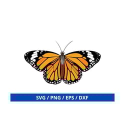 butterfly svg, butterflies svg, butterfly, monarch butterfly svg cricut, silhouette, monarch butterfly, butterfly clipar