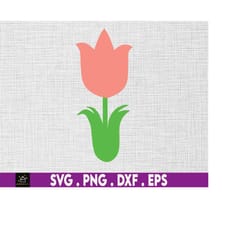 tulip svg, spring flower svg, spring, spring flower, tulip flower instant digital download files included!