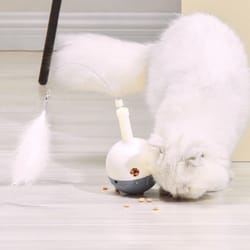 automatic cat toys for indoor exercise