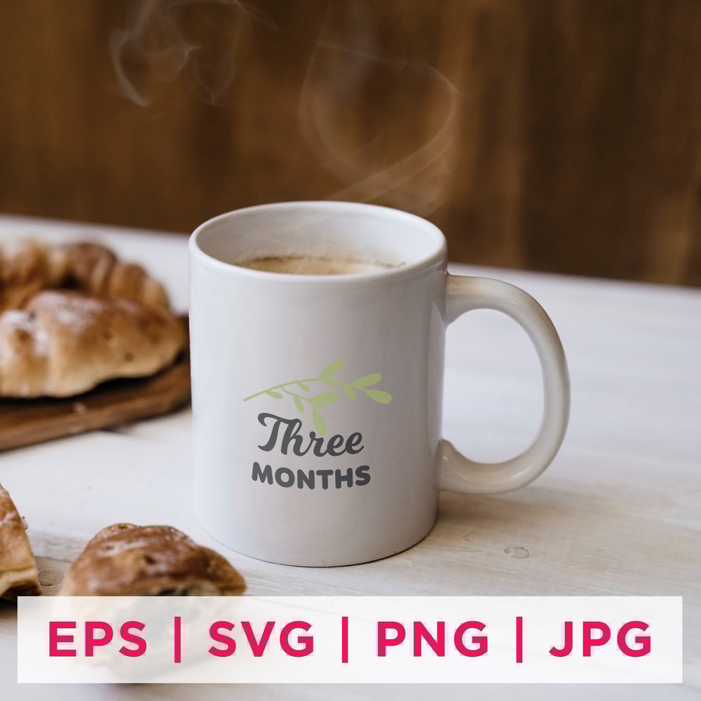 Baby Milestone Designs-04 Preview 1st.jpg