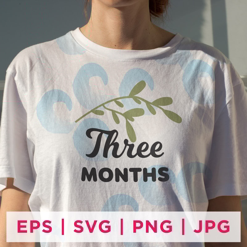 Baby Milestone Designs-04 Preview 2nd.jpg