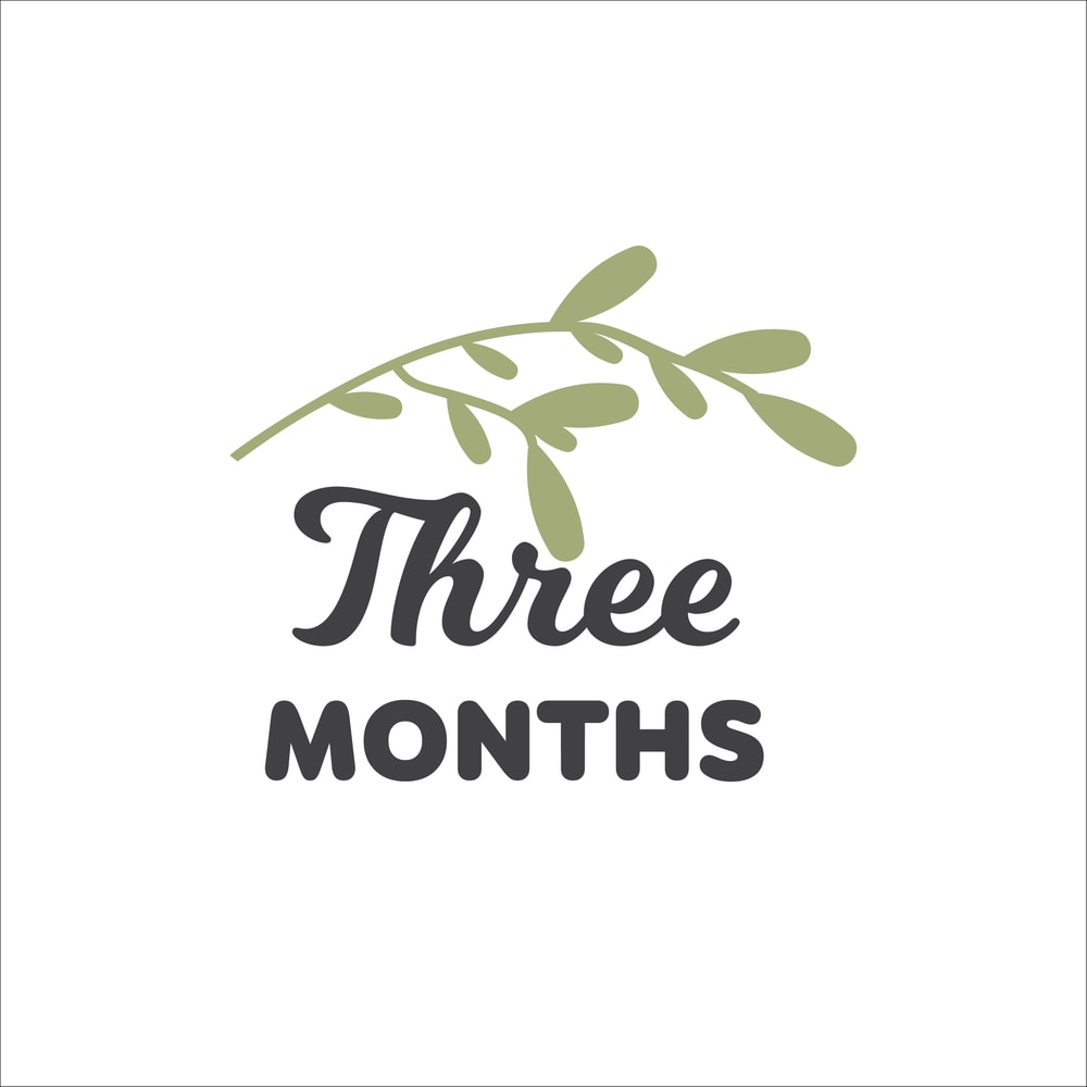 Baby Milestone Designs-04.jpg