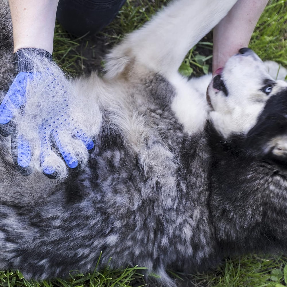 Pet Grooming Gloves for Dogs and Cats 3