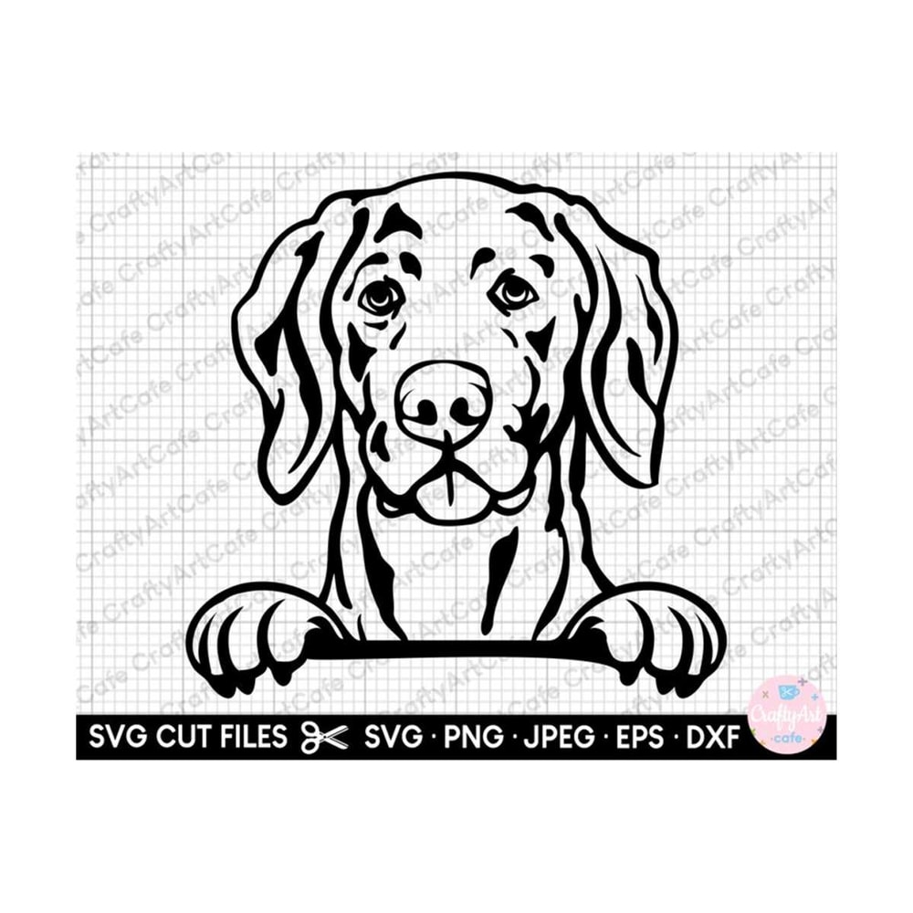 MR-259202319227-weimaraner-peeking-svg-weimaraner-peeking-png-weimaraner-svg-image-1.jpg
