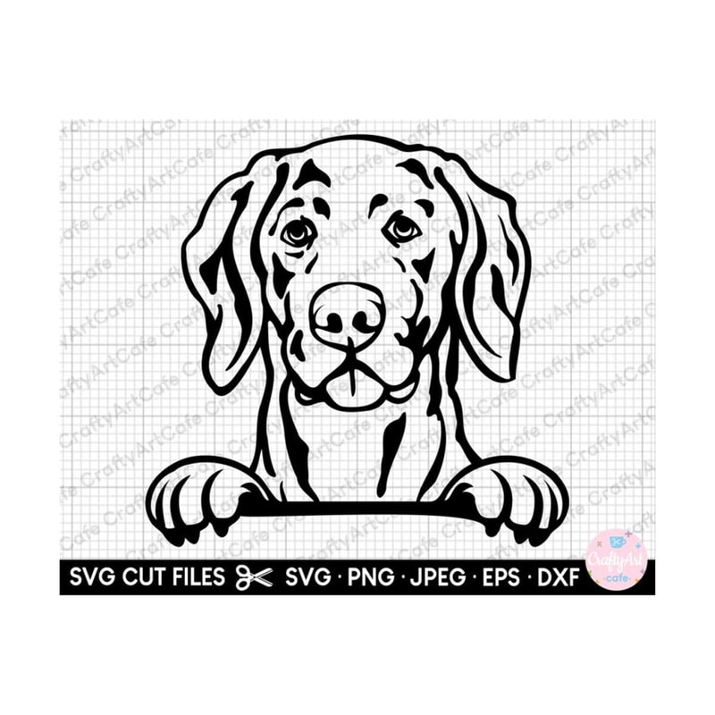 MR-259202319227-weimaraner-peeking-svg-weimaraner-peeking-png-weimaraner-svg-image-1.jpg