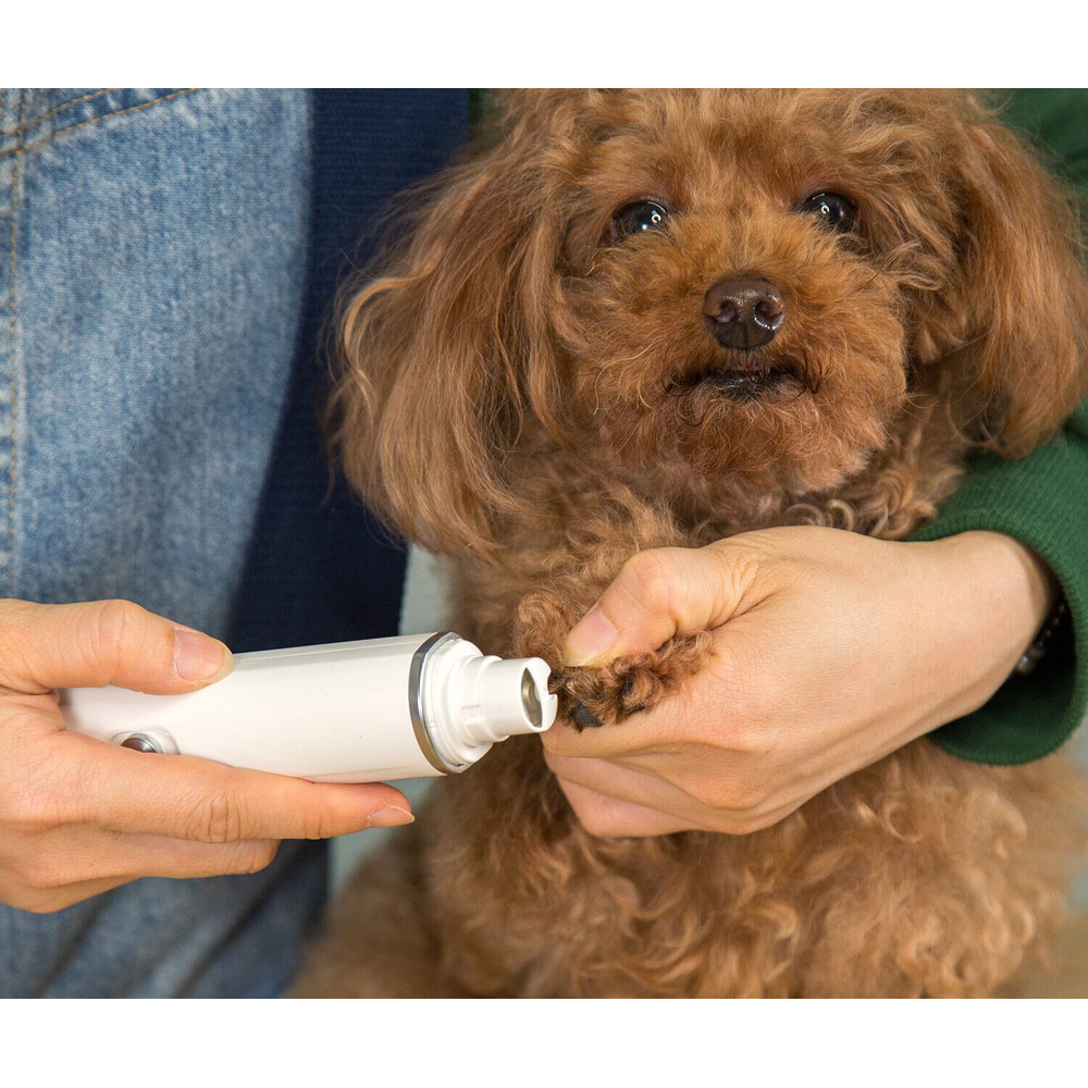 Pet Nail Trimmer Grinder Electric Rechargeable 1