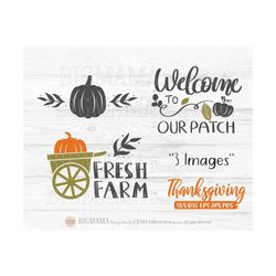 Pumpkin Patch SVG,Pumpkin Patch Sign,DXF,Pumpkin Patch Shirt Svg,Fresh Farm,Thanksgiving,PNG,Cricut,Silhouette,Instant d