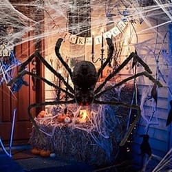 halloween giant realistic hairy spider