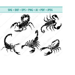 scorpions svg, scorpion cut file, scorpion clip art, scorpion silhouette, cricut cut files, silhouette files, decal desi
