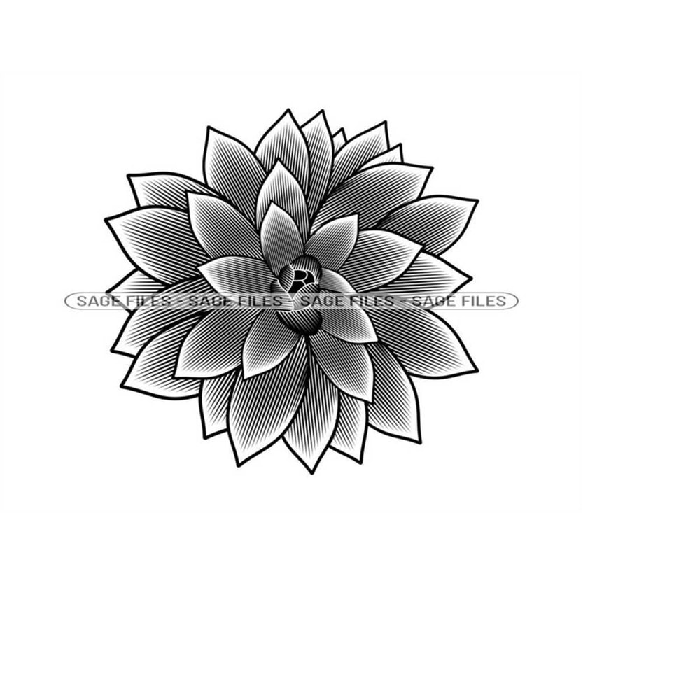 MR-6102023172032-succulent-plant-svg-flower-svg-succulent-plant-clipart-image-1.jpg