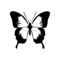 butterfly silhouette svg, butterfly vinyl cut file, butterfly svg dxf png, butterfly svg cutting image, butterfly cut fi