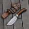 classic american bowie knife