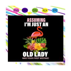 assuming im just an old lady was your first mistake, lady svg, lady, old lady, old lady gift, old lady birthday, lady li