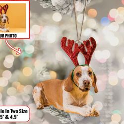 Custom  Funny Dog Photo Ornament, Pet Lover Dog Lover Cat Lover Gift