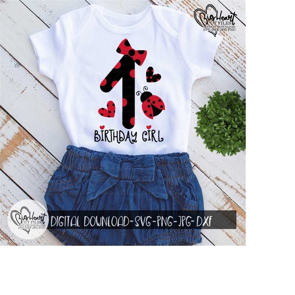 26102023115816-ladybug-1st-birthday-girl-svg-png-jpg-dxf-first-birthday-image-1.jpg