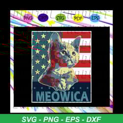 meowica america flag,american svg, 4th of july svg, fourth of july svg, patriotic american svg, independence day svg, me