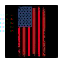 america flag, independence day svg, 4th of july, july 4th svg, patriotic svg, usa lover, usa cricut, independence day gi