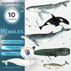 watercolor whales clipart set, ocean clip art, blue whale, humpback whales, sperm whale, orca whale, beluga, narwhal