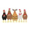 MR-24112023163132-five-christmas-chickens-embroidery-design-3-sizes-instant-image-1.jpg