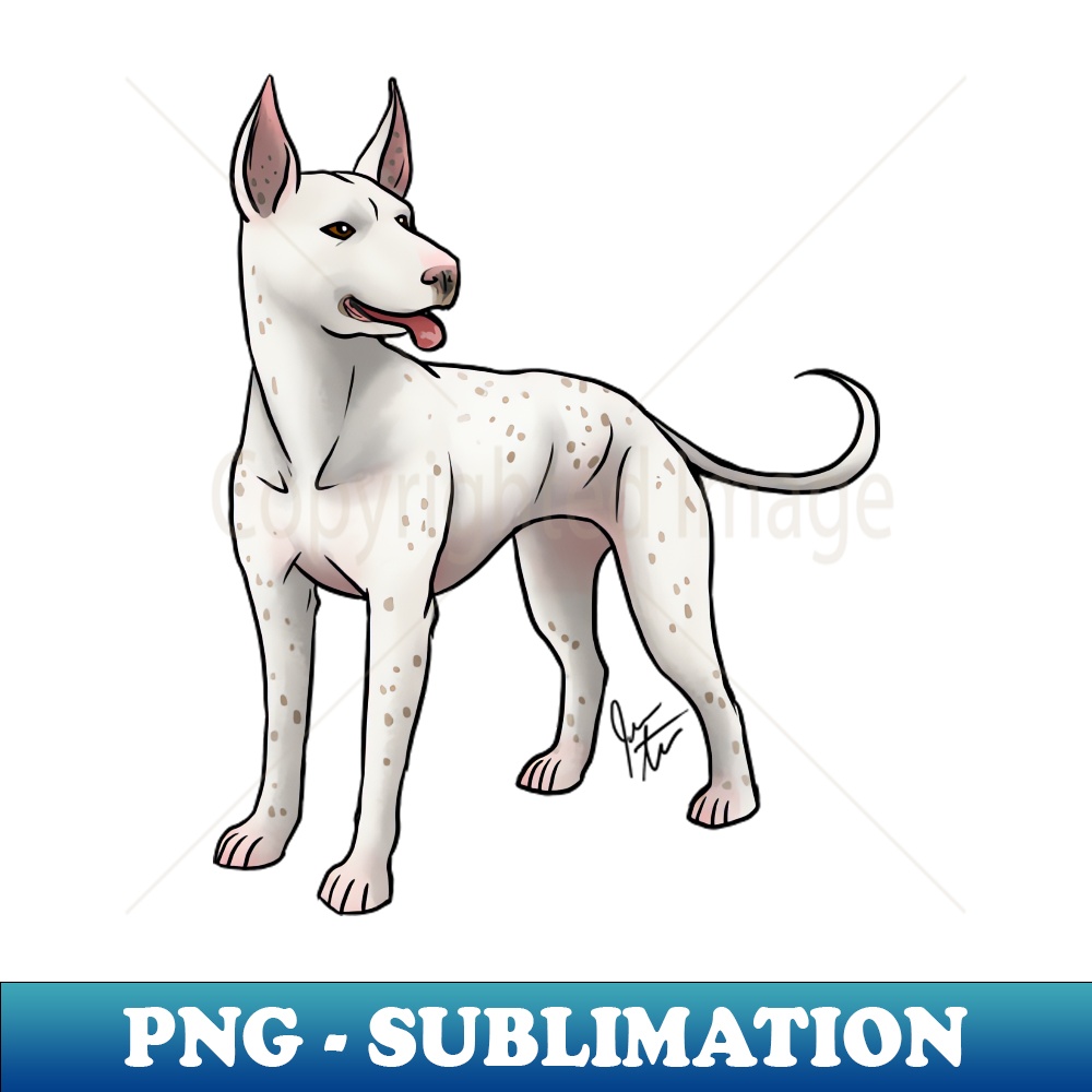 EF-9135_Dog - Pakistani Gull Terrier - Speckled 3670.jpg